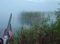 В Беларуси с 1 октября 2011 открывается сезон загонной охоты