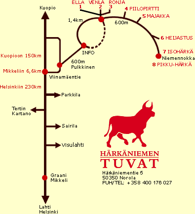 Коттеджи Хяркяниемен туват